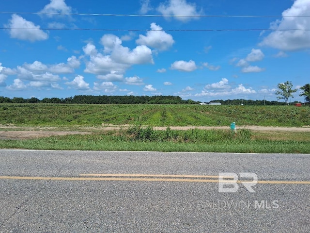 32299 Terranova Loop, Lillian, AL 36549 - view of asphalt road featuring a rural view
