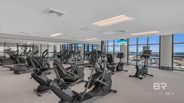 23450 Perdido Beach Blvd Unit 2011, Orange Beach, AL 36561 - workout area with carpet, healthy amount of natural light, and expansive windows