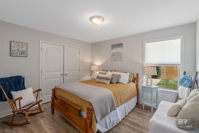 bedroom featuring a closet and wood-type flooring