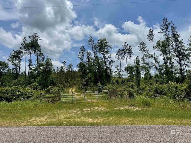 LOT4 Lonnie Hadley Rd, Perdido, AL 36562
