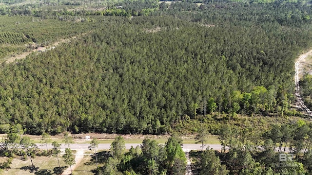 LOT4 Lonnie Hadley Rd, Perdido, AL 36562