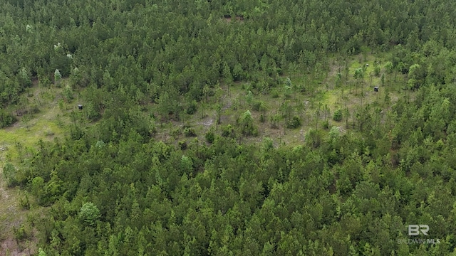 LOT4 Lonnie Hadley Rd, Perdido, AL 36562