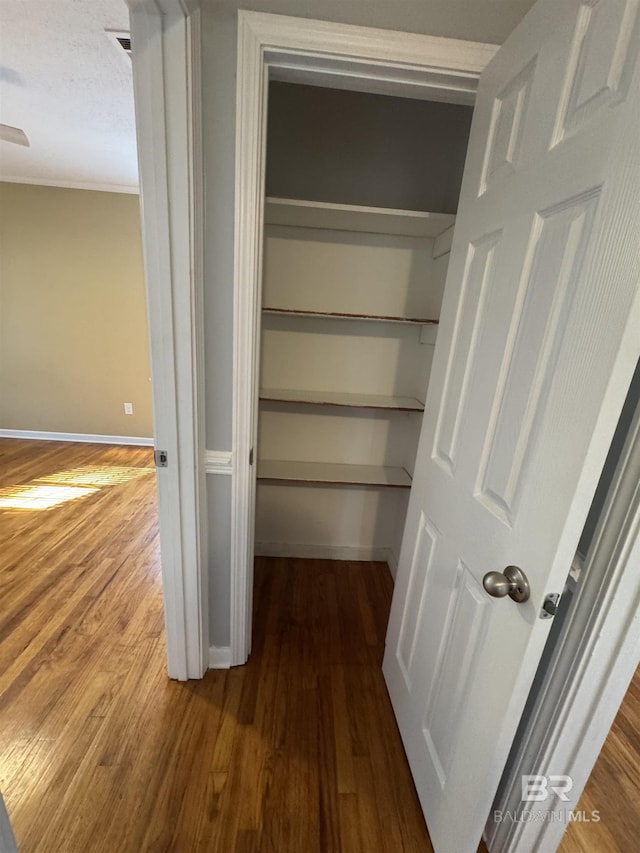 view of closet