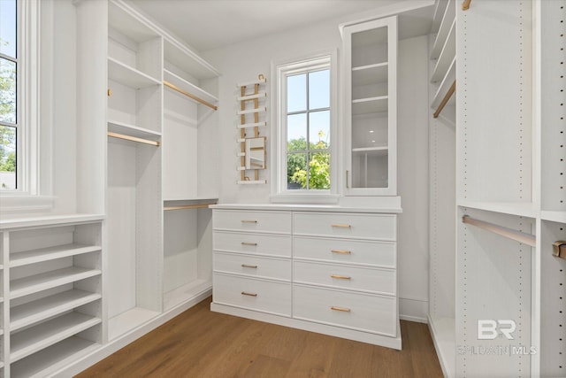 walk in closet featuring dark wood-style floors