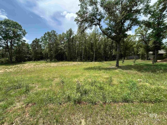 0 Repoll Rd, Mobile AL, 36695 land for sale