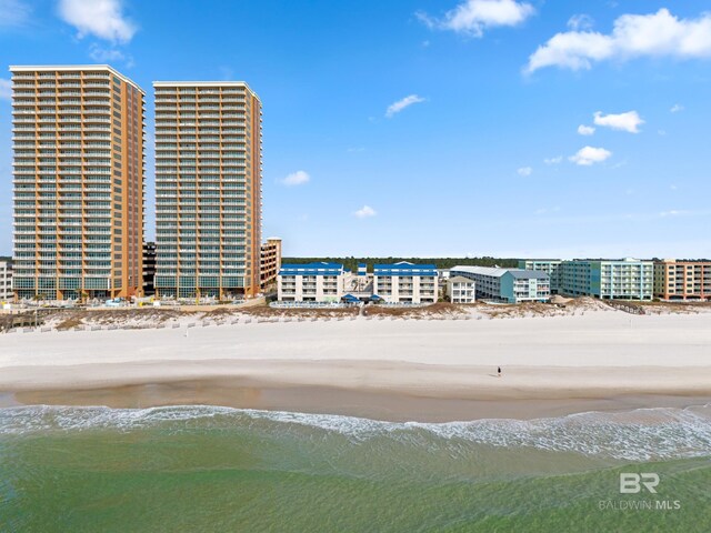 view of water feature featuring a view of the beach