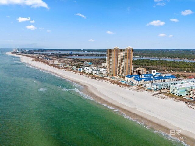 view of water feature with a beach view