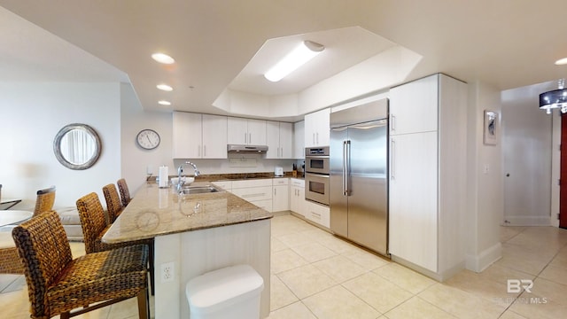kitchen with stainless steel appliances, under cabinet range hood, a sink, a peninsula, and light stone countertops