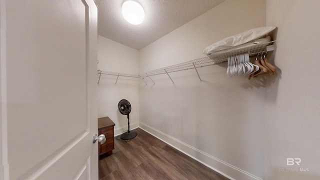 spacious closet with dark wood-type flooring