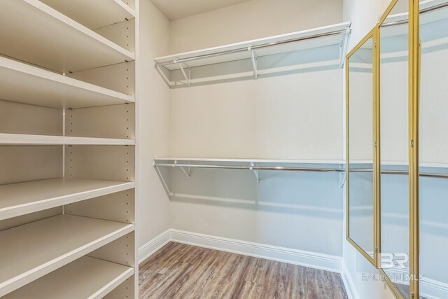 24774 Smarty Jones Cir, Daphne, AL 36526 - spacious closet featuring wood finished floors