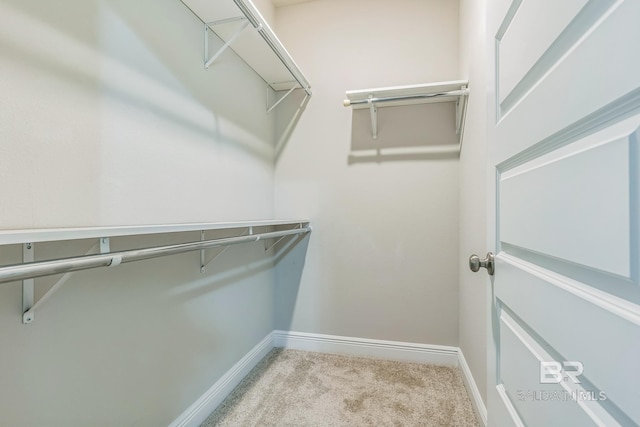 24774 Smarty Jones Cir, Daphne, AL 36526 - walk in closet featuring carpet floors