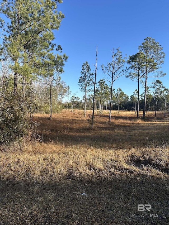 50933 US Highway 31, Bay Minette AL, 36507 land for sale