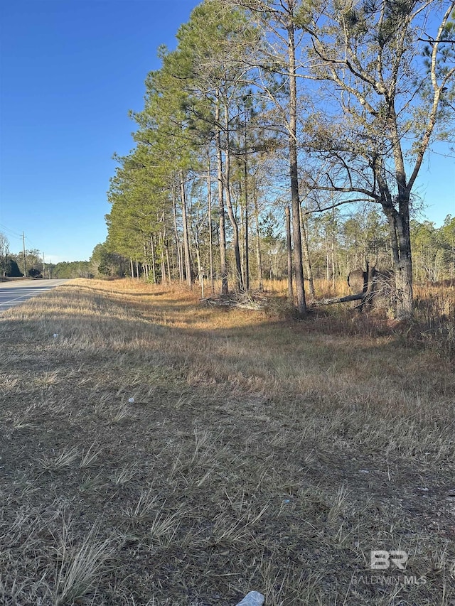 Listing photo 3 for 50933 US Highway 31, Bay Minette AL 36507