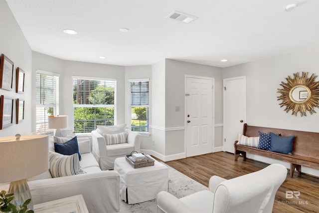 living room with wood-type flooring