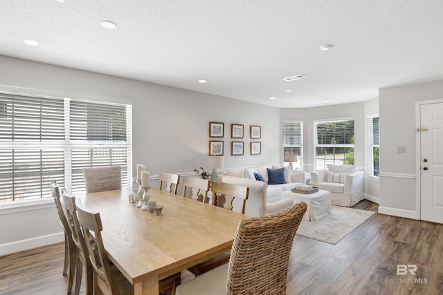 dining room with hardwood / wood-style flooring, a textured ceiling, and a wealth of natural light