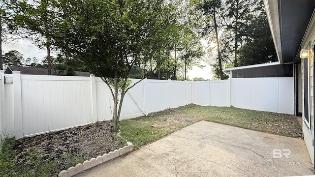 view of yard with a fenced backyard and a patio