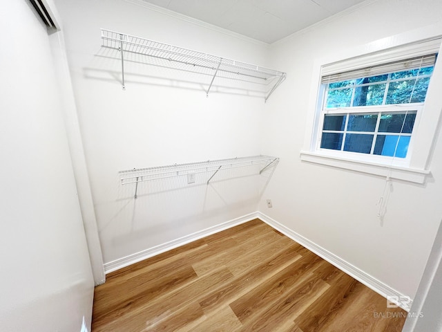 walk in closet with wood-type flooring