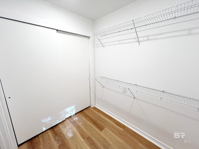 walk in closet featuring wood-type flooring