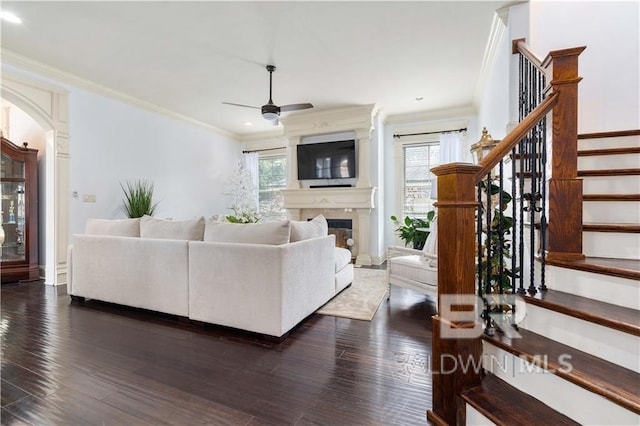 living room featuring crown molding, ceiling fan, and dark hardwood / wood-style flooring