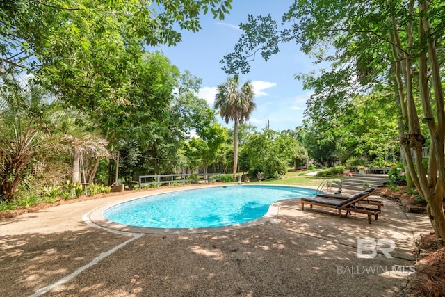 6000 Shenandoah Rd, Mobile, AL 36608 - outdoor pool with view of scattered trees and a patio area