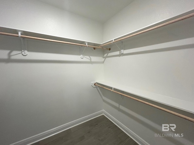 walk in closet with dark wood-type flooring