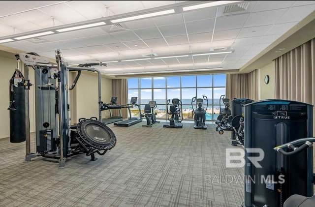 23008 W Perdido Beach Blvd Unit 1905, Orange Beach, AL 36561 - workout area featuring carpet