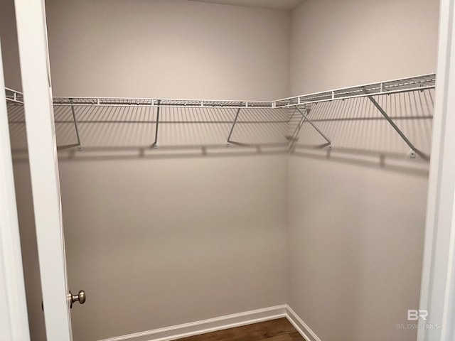 spacious closet featuring dark hardwood / wood-style floors