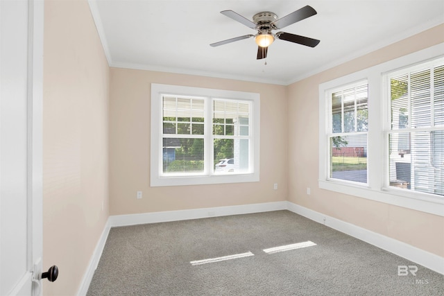 empty room with carpet floors, a healthy amount of sunlight, and crown molding