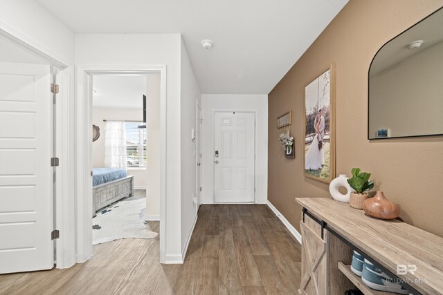 14705 Forsythia Loop, Silverhill, AL 36576 - foyer entrance featuring wood finished floors and baseboards