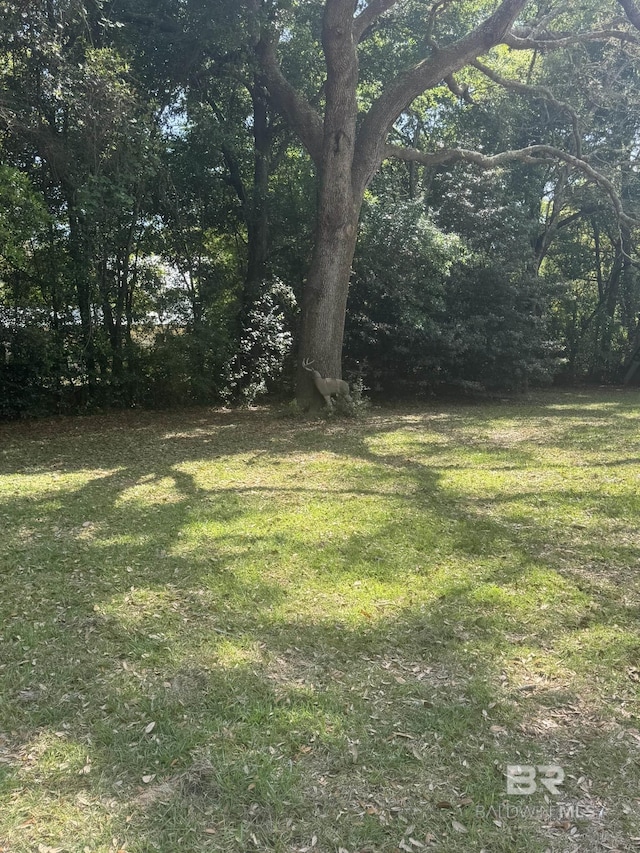 32098 Jessup Ln, Lillian, AL 36549 - view of green lawn