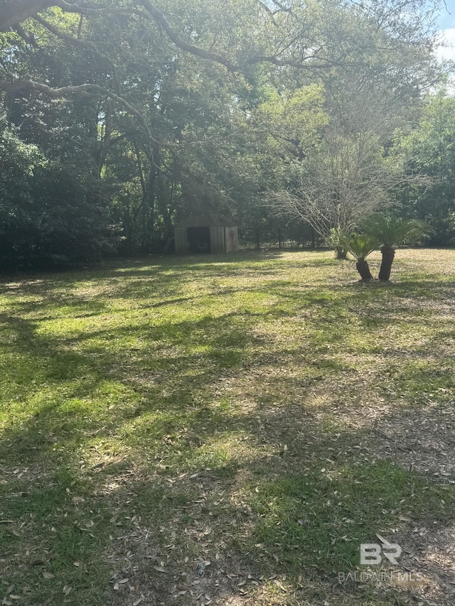 32098 Jessup Ln, Lillian, AL 36549 - view of green lawn featuring an outdoor structure