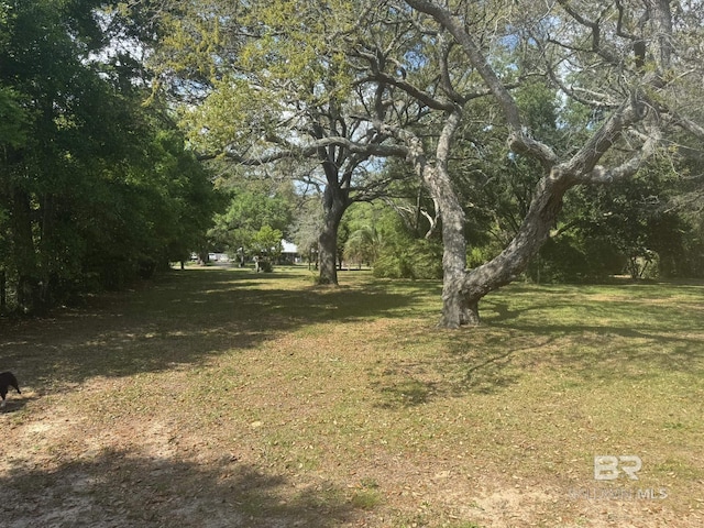 32098 Jessup Ln, Lillian, AL 36549 - view of grassy yard