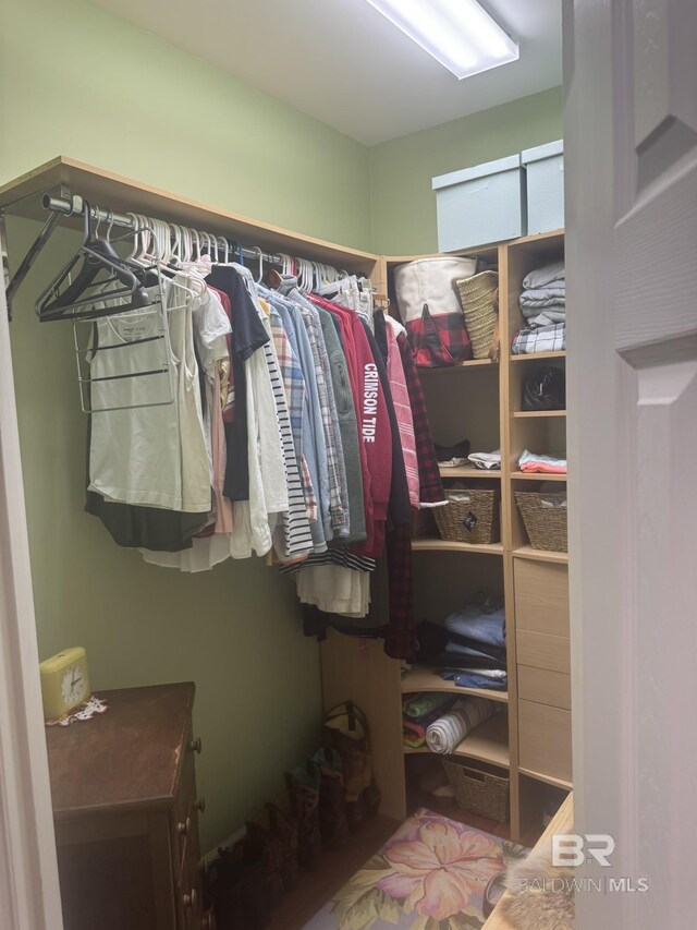 32098 Jessup Ln, Lillian, AL 36549 - view of spacious closet
