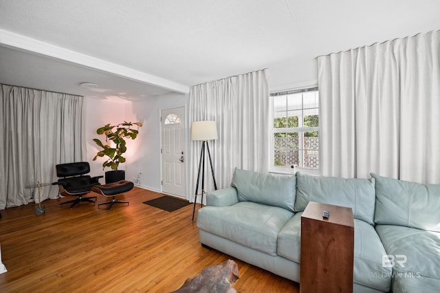 30577 Baldwin St, Perdido Beach, AL 36530 - living room with wood finished floors
