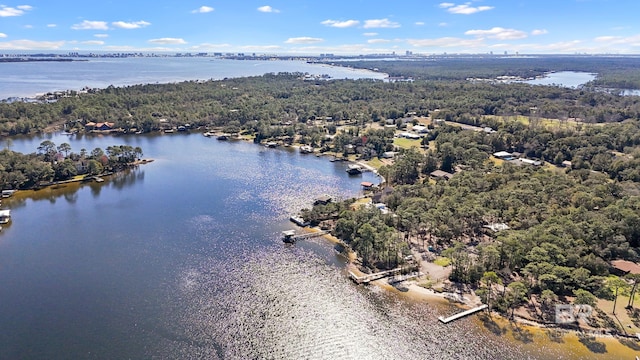30577 Baldwin St, Perdido Beach, AL 36530 - aerial view of a nearby body of water and a forest