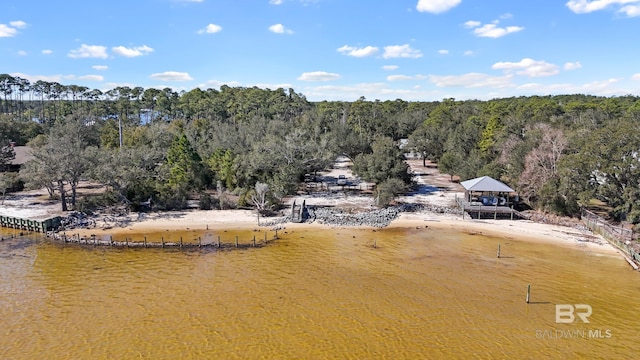 30577 Baldwin St, Perdido Beach, AL 36530 - drone / aerial view of a forest and a large body of water