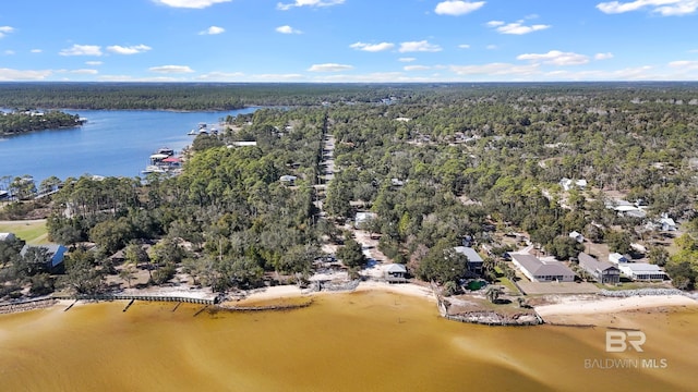 30577 Baldwin St, Perdido Beach, AL 36530 - drone / aerial view of a heavily wooded area and a nearby body of water