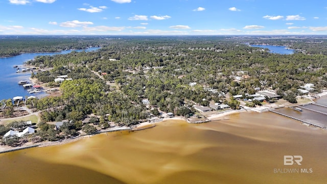30577 Baldwin St, Perdido Beach, AL 36530 - aerial view of a forest and a nearby body of water