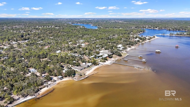 30577 Baldwin St, Perdido Beach, AL 36530 - bird's eye view of a forest and a nearby body of water