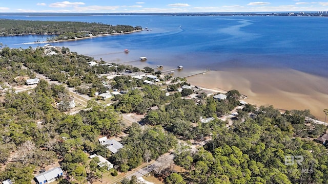 30577 Baldwin St, Perdido Beach, AL 36530 - bird's eye view of a nearby body of water