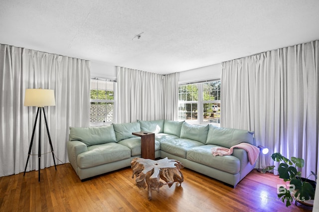 30577 Baldwin St, Perdido Beach, AL 36530 - living area with a textured ceiling, plenty of natural light, and wood finished floors