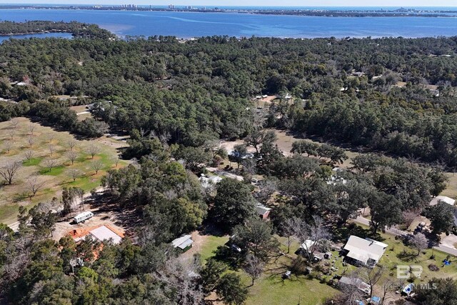 30577 Baldwin St, Perdido Beach, AL 36530 - aerial view of property and surrounding area with a forest and a large body of water