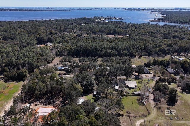 30577 Baldwin St, Perdido Beach, AL 36530 - view of property location with a forest and a large body of water