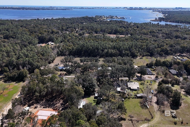 30577 Baldwin St, Perdido Beach, AL 36530 - aerial view of property's location featuring a forest and a large body of water