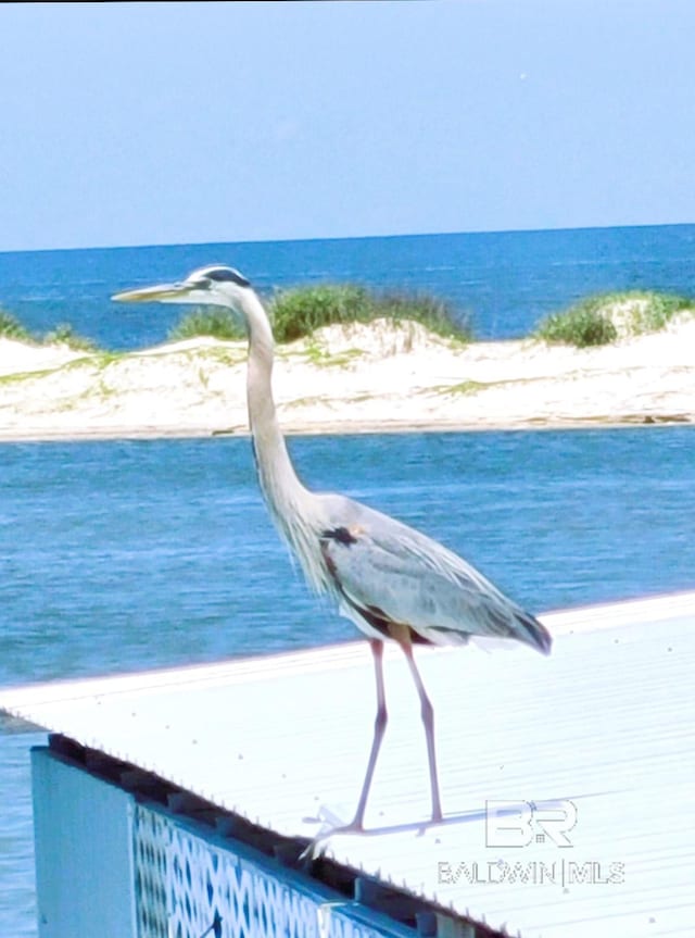 property view of water