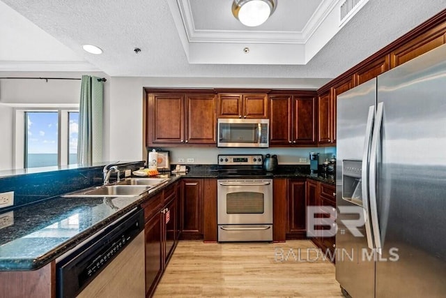 kitchen with crown molding, stainless steel appliances, a raised ceiling, a sink, and light wood-type flooring