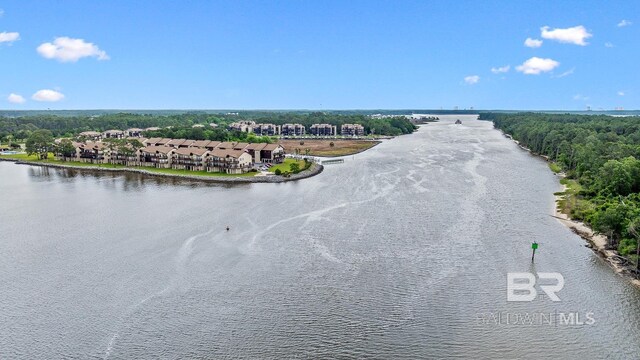 bird's eye view of a nearby body of water