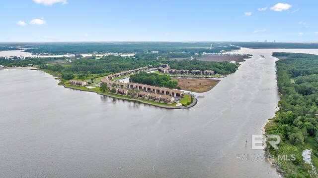 bird's eye view of a nearby body of water