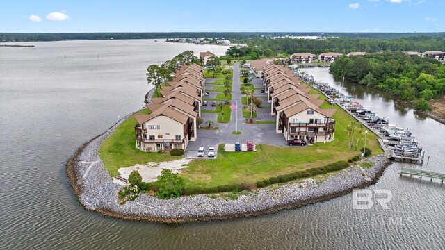 bird's eye view of a large body of water
