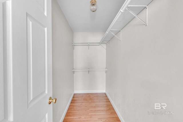 spacious closet featuring light wood-type flooring